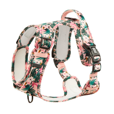 Harnais pour chien anti-traction - Comfy Tropicool